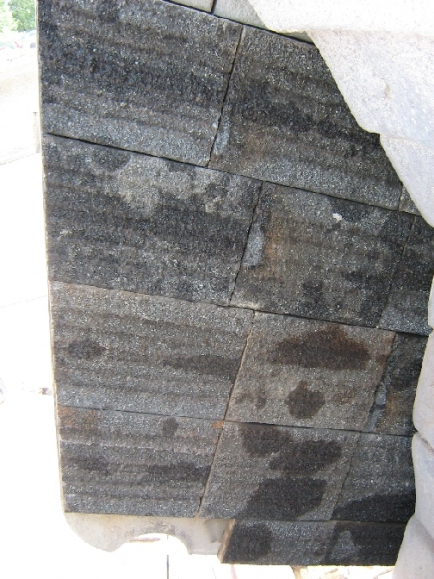 TCI HSI cheek plate